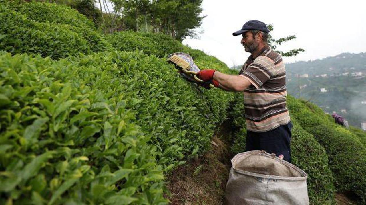 &Ccedil;AYKUR'dan kontenjan d&uuml;ş&uuml;rme kararı