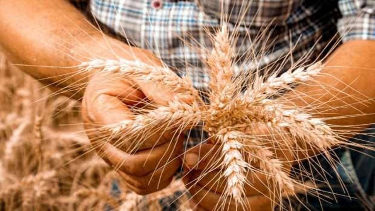 &Ccedil;ift&ccedil;ilere 87,5 milyon liralık tarımsal destekleme &ouml;demesi yapılacak