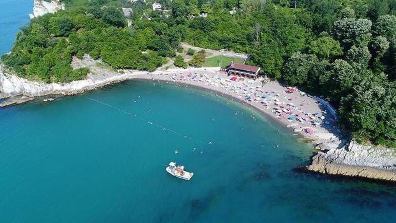 D&uuml;zce kıyılarında deniz k&ouml;p&uuml;klenmişti; Valilikten a&ccedil;ıklama