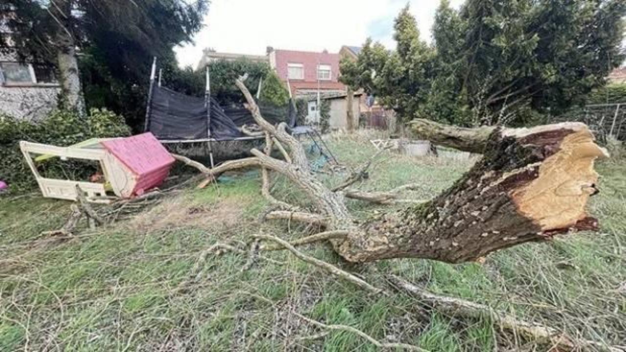 Fırtınada üstüne ağaç düşen 2 aylık bebek hayatını kaybetti