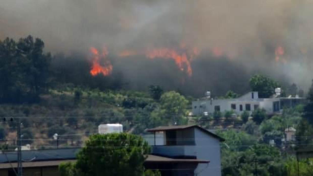 Hatay'da orman yangını! Alevlere müdahale ediliyor