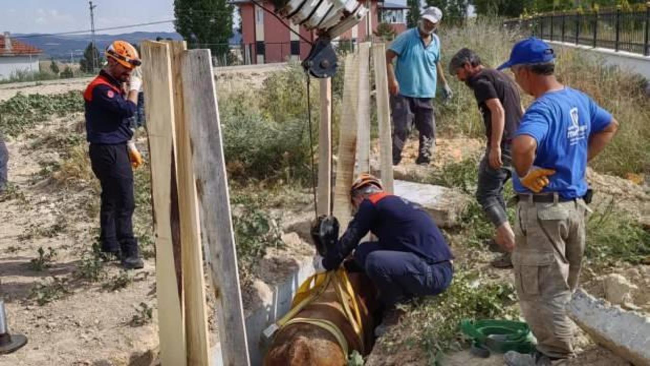 Menfeze düşen inek AFAD tarafından kurtarıldı