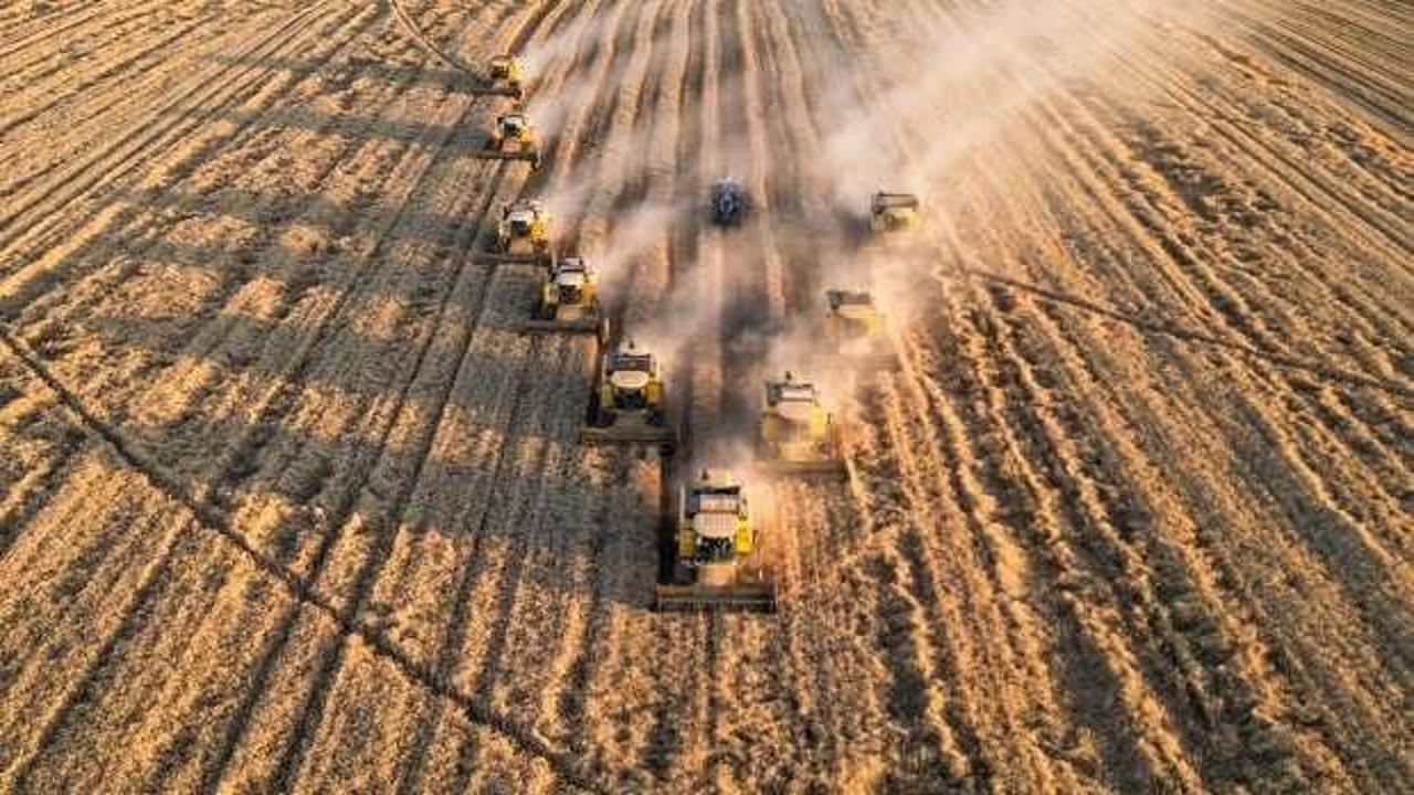 Tarım sekt&ouml;r&uuml;nden ihracat rekoru