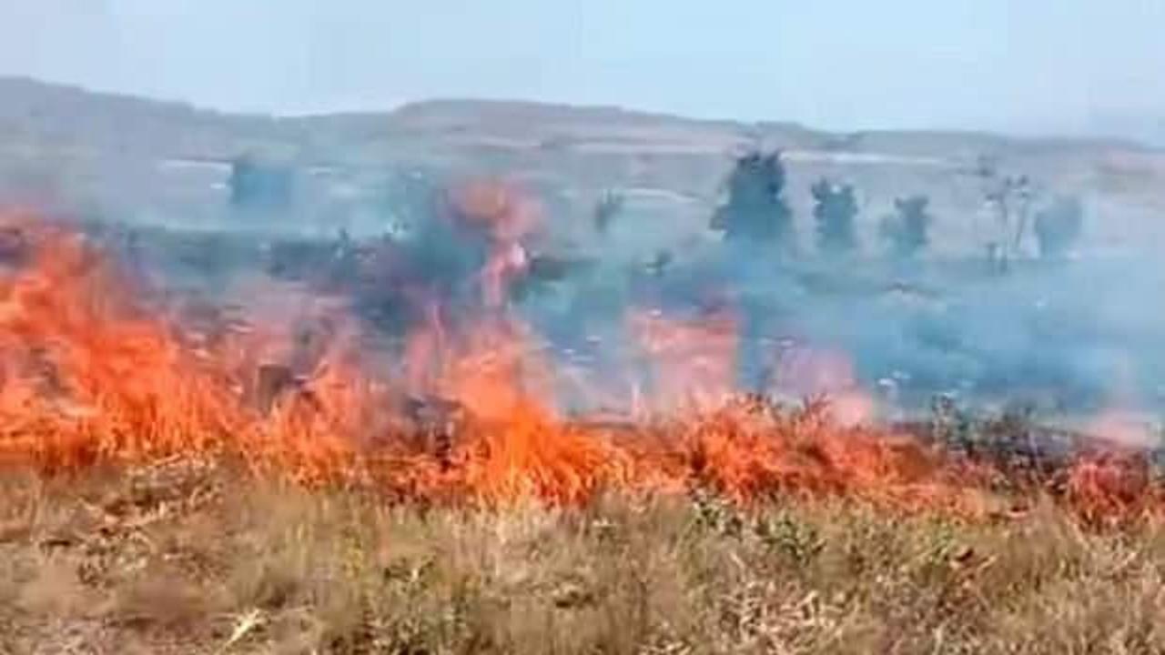 Tunceli'de arazi yangını