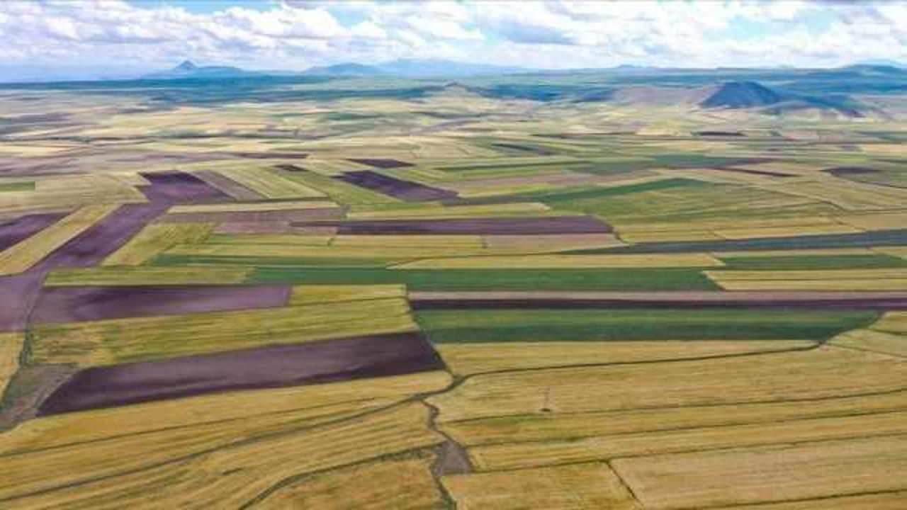 Arsa alacaklara çok önemli uyarı! Uzmanlar tek tek açıkladı