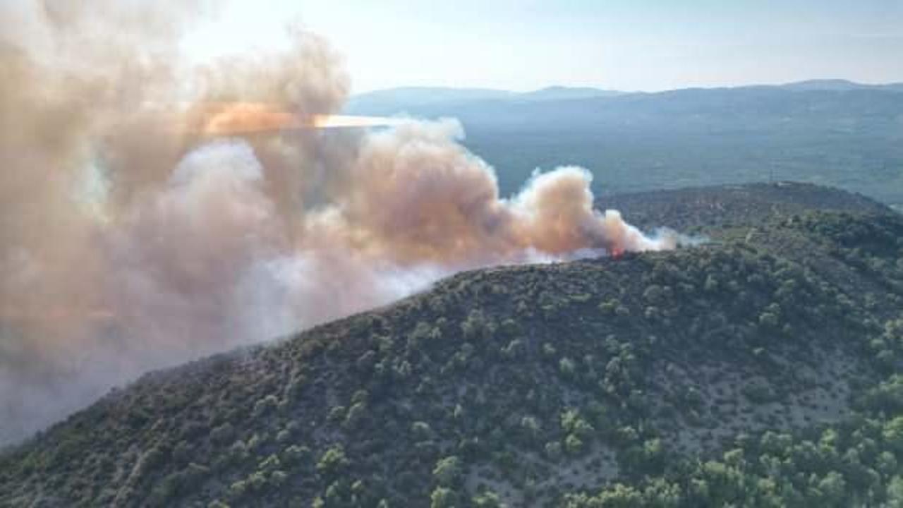 İznik'te orman yangını &ccedil;ıktı Ekiplerin yangına m&uuml;dahalesi s&uuml;r&uuml;yor.