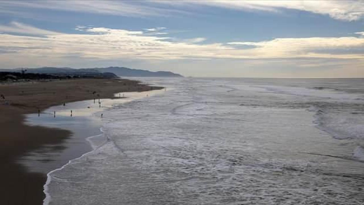 Küresel ısınmanın etkileri hayvanlarda cinsiyet değişimine neden oldu