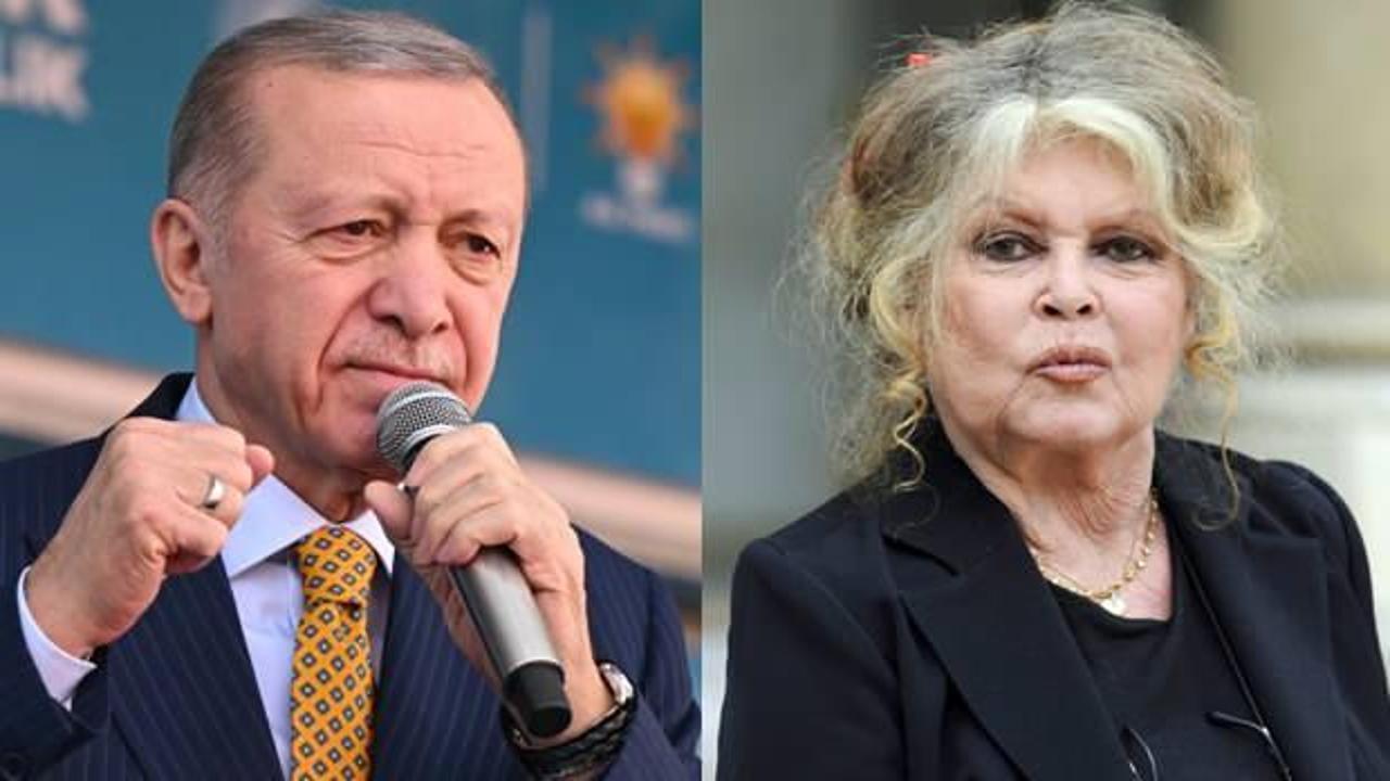 Brigitte Bardot'tan Erdoğan'a sokak köpekleri çağrısı