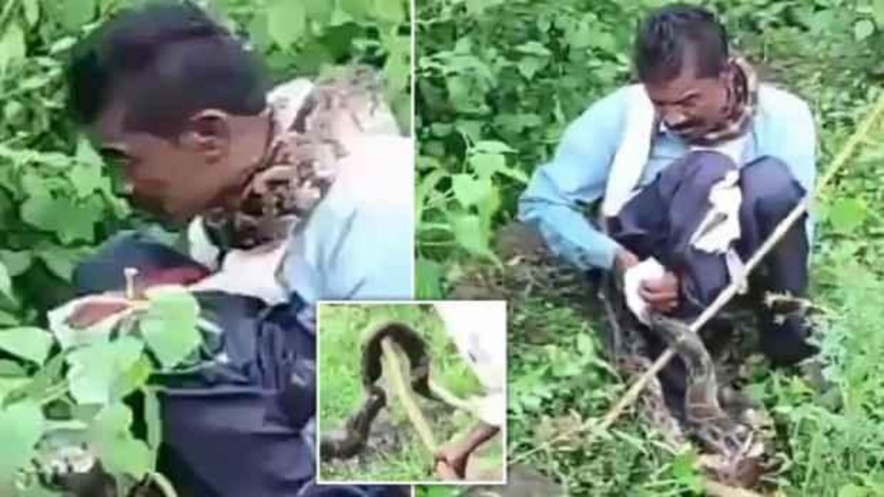 Çalılıklara tuvaletini yaparken hayatının şokunu yaşadı