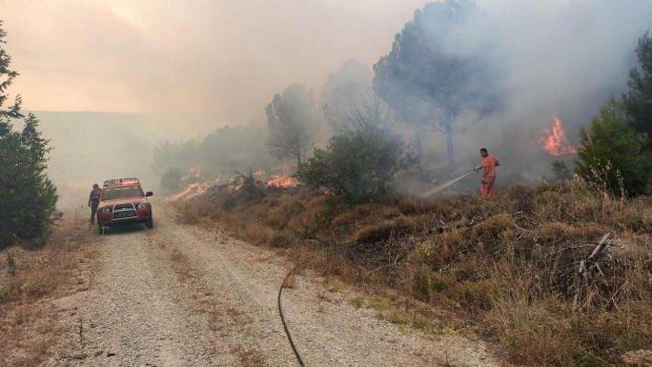 Çanakkale'de ormanlık alanda yangın!