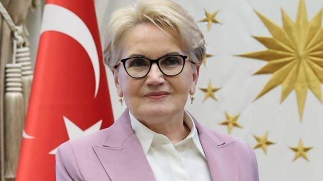 Meral Akşener'den tekzip talebi: Oyum...