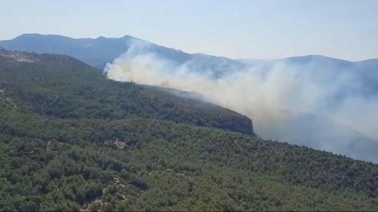 Muğla'daki orman yangını söndürüldü