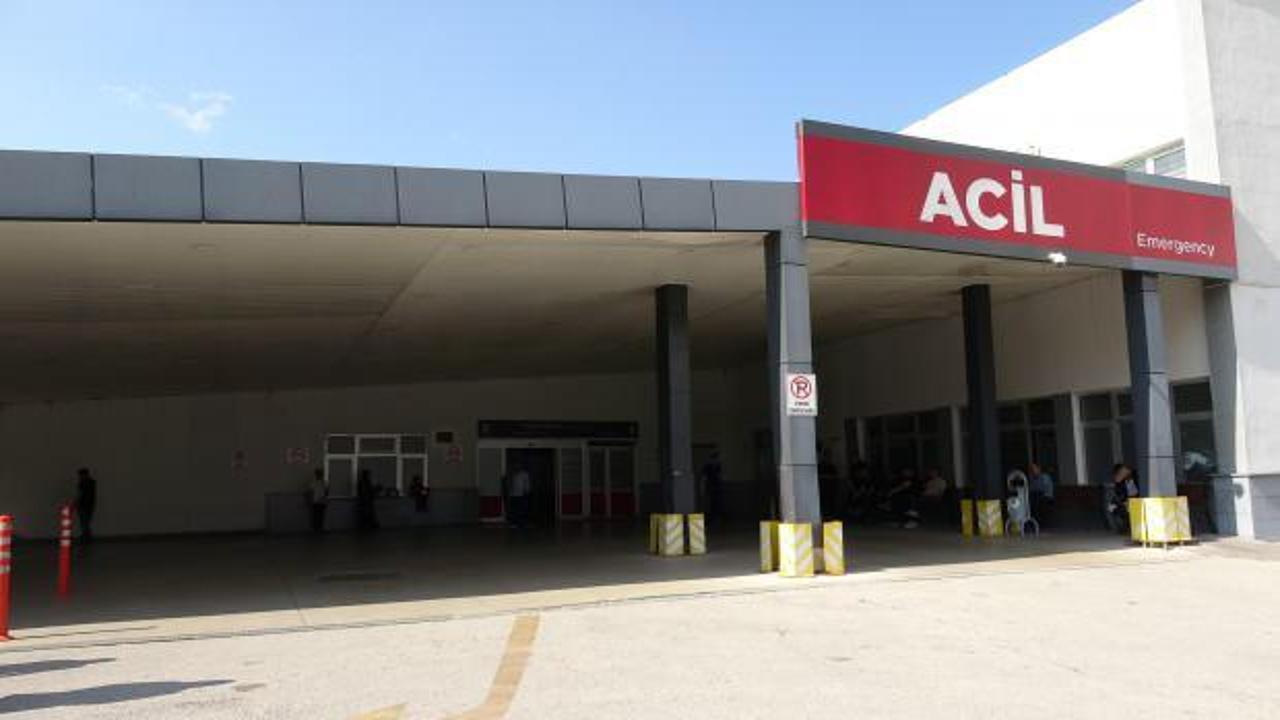 Seyyar satıcıdan aldıkları mantar 3 aileyi zehirledi! Uzmanlardan uyarı geldi