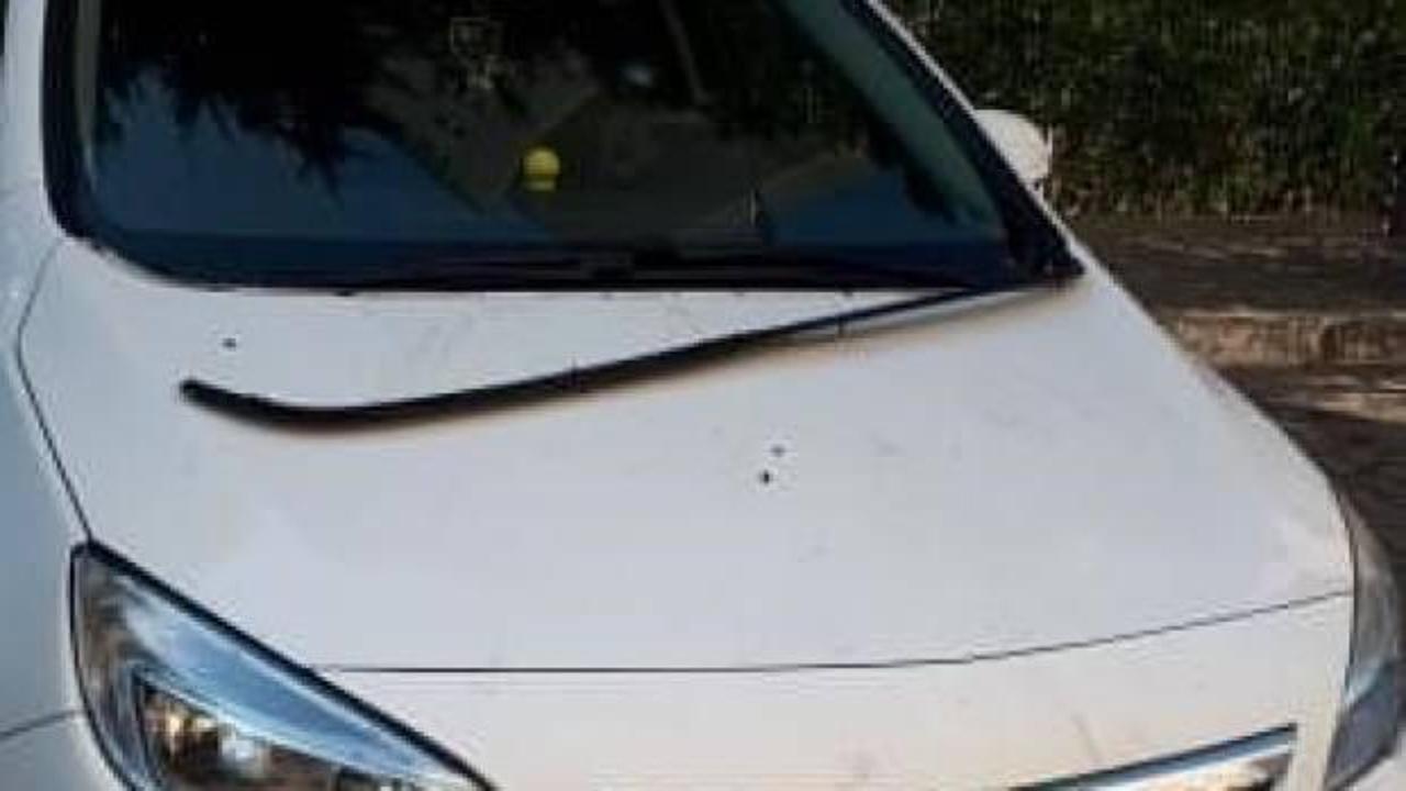 Sokak k&ouml;pekleri park halindeki otomobili par&ccedil;aladı!