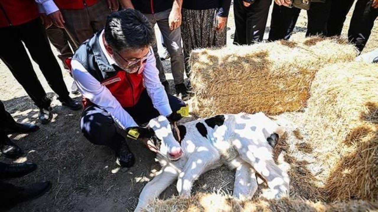 Bakan Yumaklı: Hayvancılık desteğinde tereddüt yaşanmayacak bir sistemi hayata geçiriyoruz