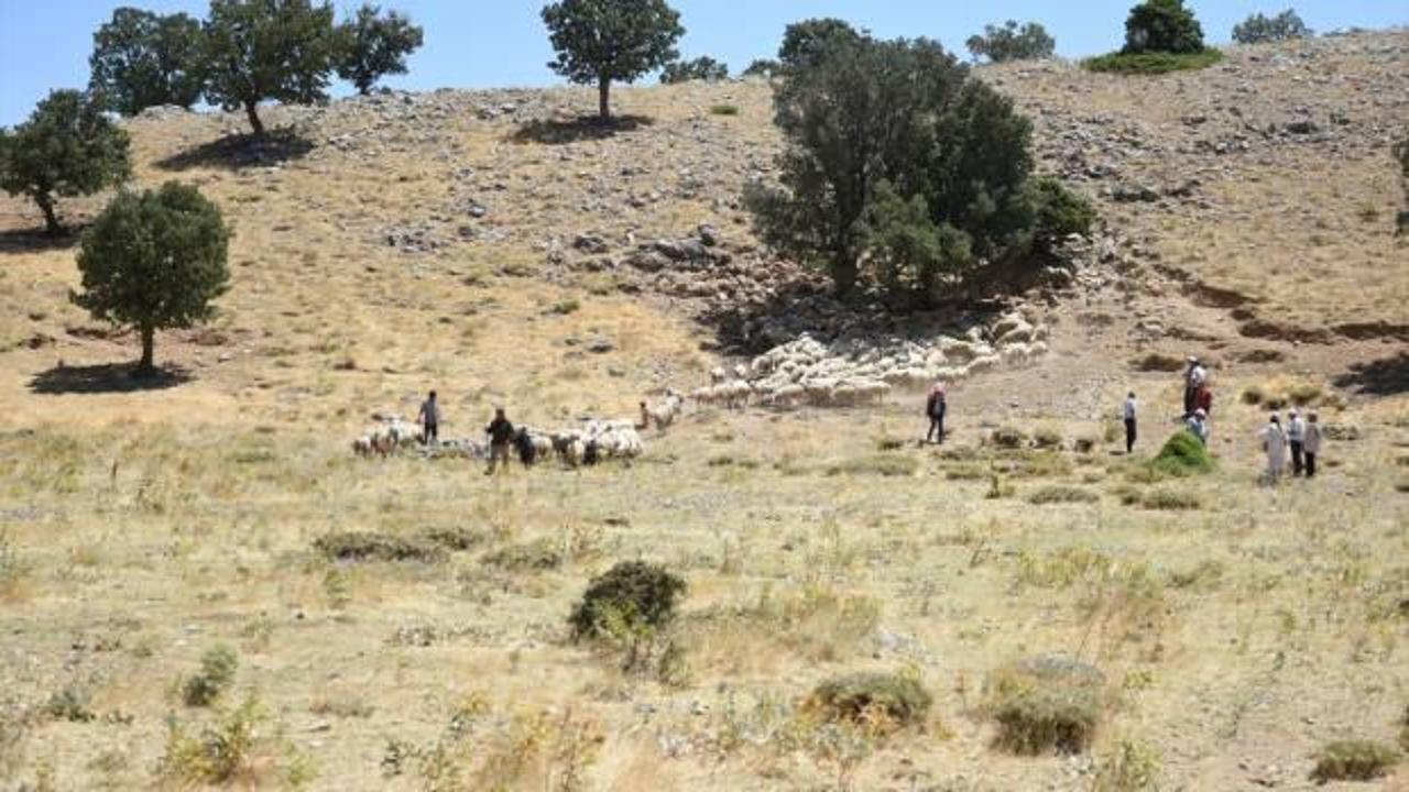 Depremden etkilenen Malatya'da devlet desteğiyle hayvancılık gelişiyor