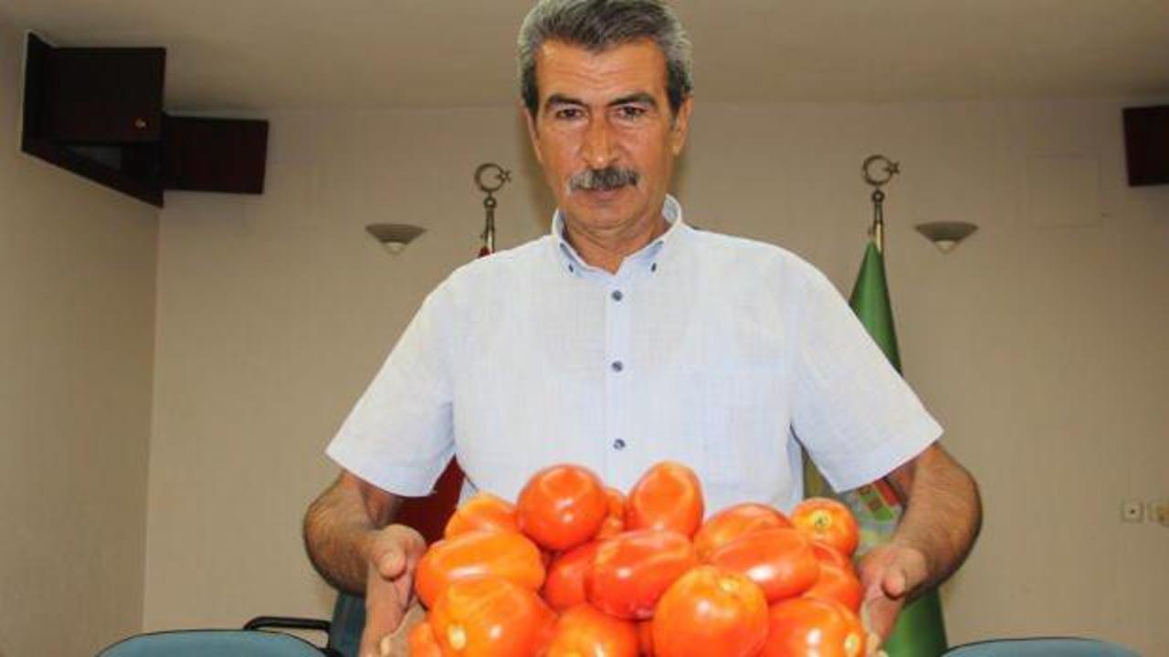 Domates tarlada 1,7 TL pazarda 15 TL