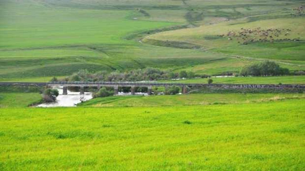 Erzurum mera ve &ccedil;ayır zengini