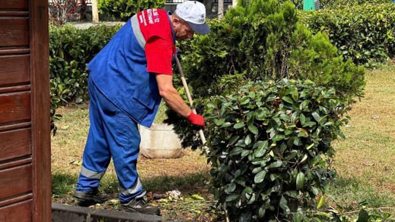 Kağıthane Belediyesi yeşil alanlara gözü gibi bakıyor