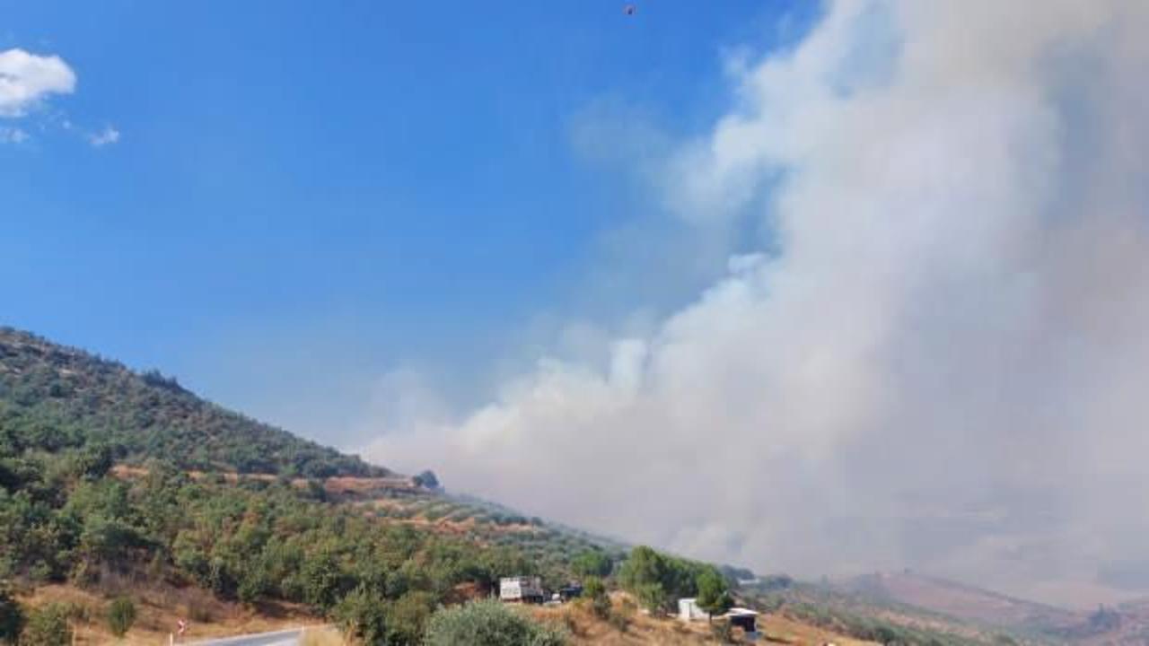 Manisa'da orman yangını! Havadan ve karadan m&uuml;dahale