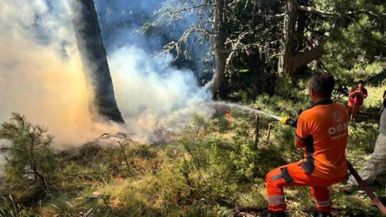  Uludağ'ın eteklerinde korkutan yangın!