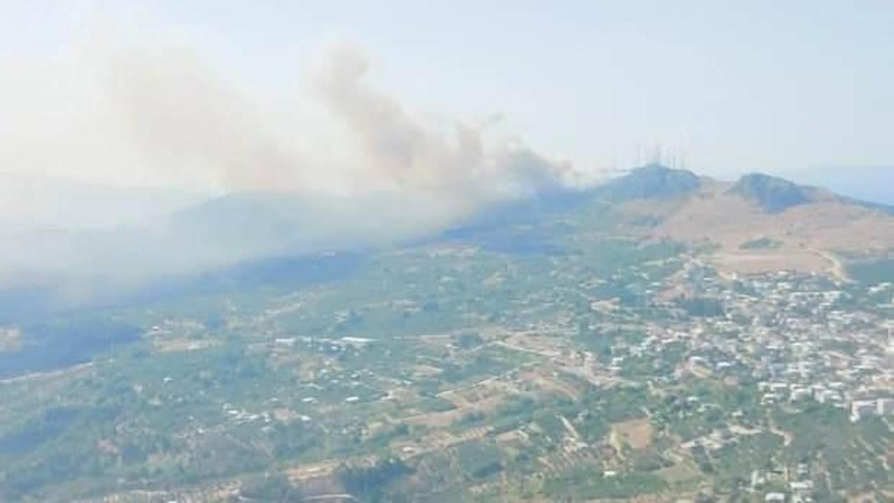 Bursa'da orman yangını: Havadan ve karadan müdahale ediliyor