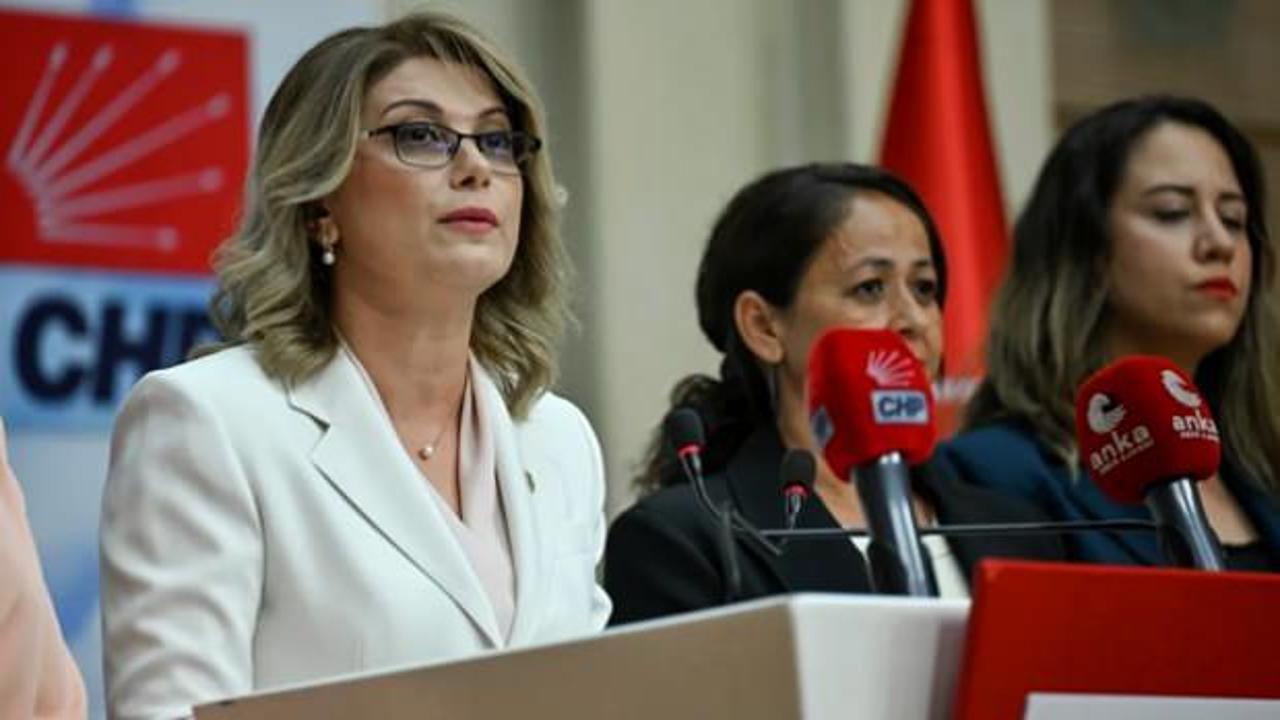 CHP'nin yeni kadın kolları başkanı belli oldu