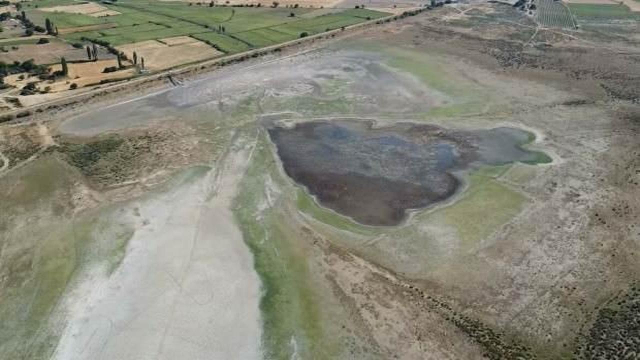 Korkutan g&ouml;r&uuml;nt&uuml;! G&ouml;&ccedil;men kuşlara ev sahipliği yapan g&ouml;let kurudu