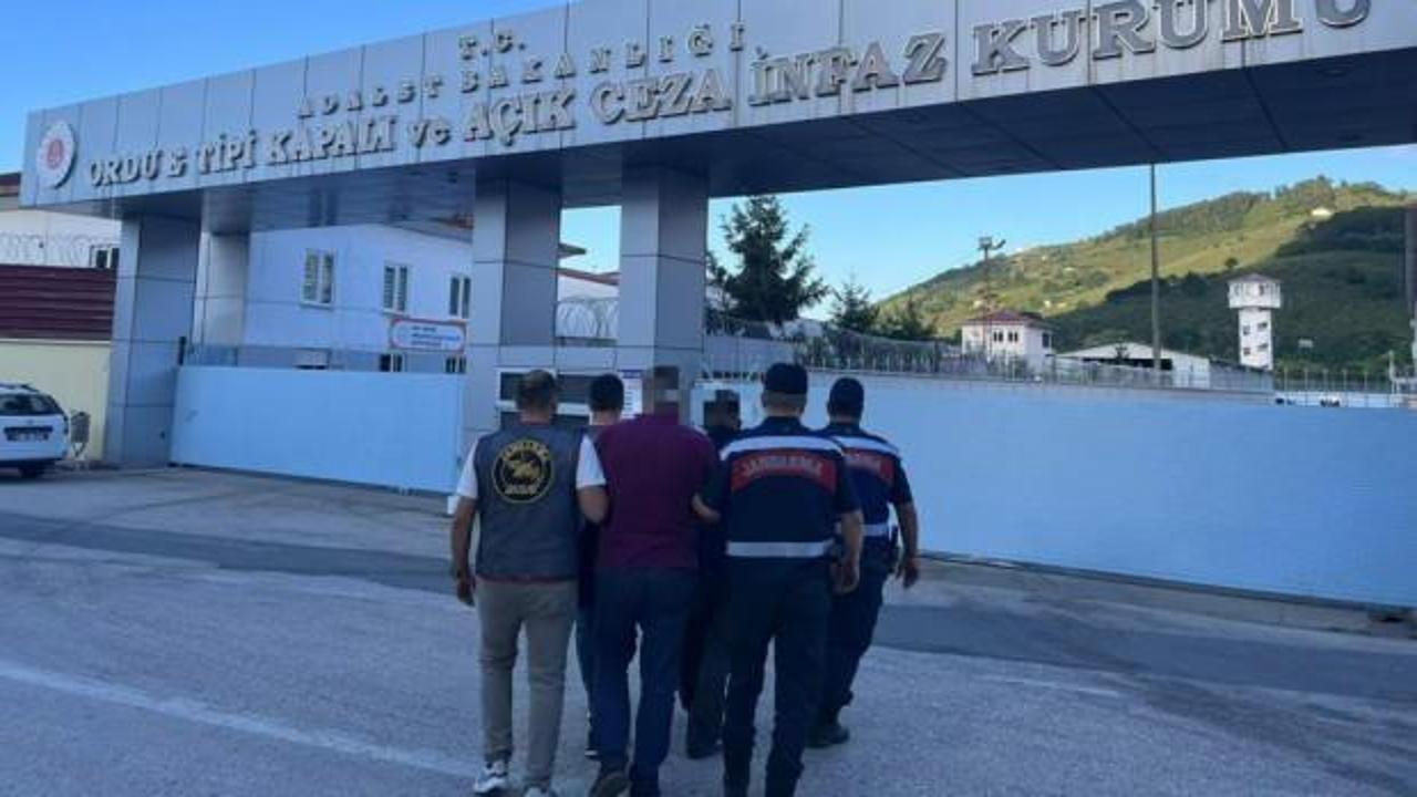 Ordu’da yasadışı kenevir ekimi yapan 2 kişi tutuklandı