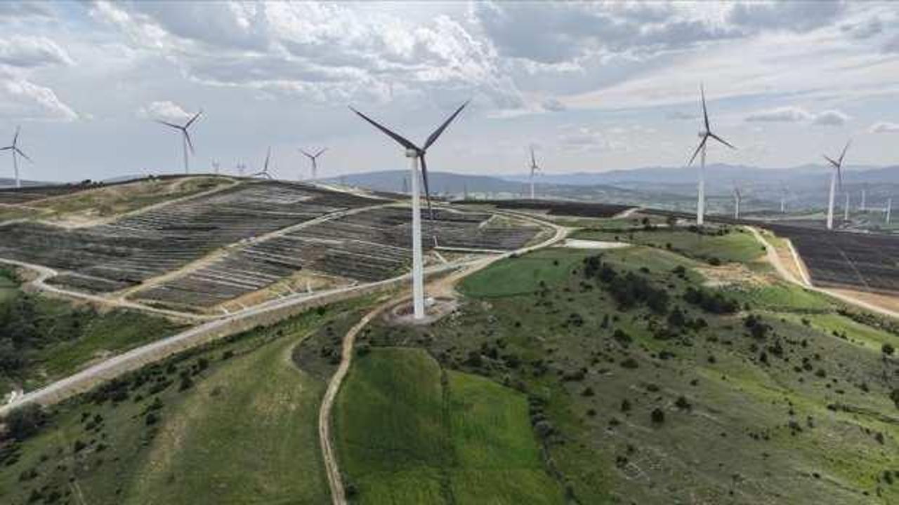 "Rüzgar enerjisi Türkiye'de kesintisiz elektrik sağlamada yerli kömürün yerini alabilir"