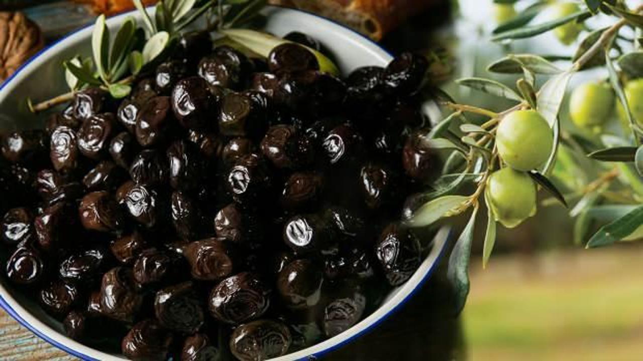 Zeytin çekirdeği yutulur mu? Zeytin çekirdeği faydaları nelerdir?