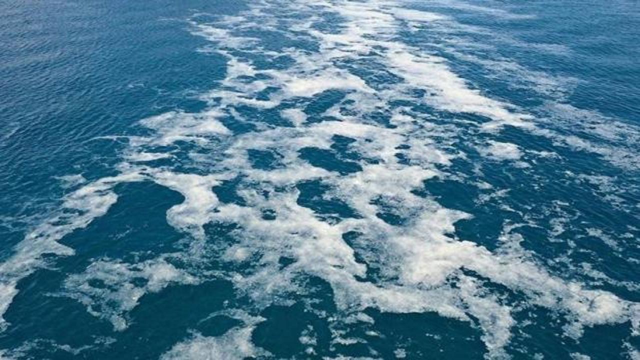 Müsilaj sorunu İtalya'ya sıçradı