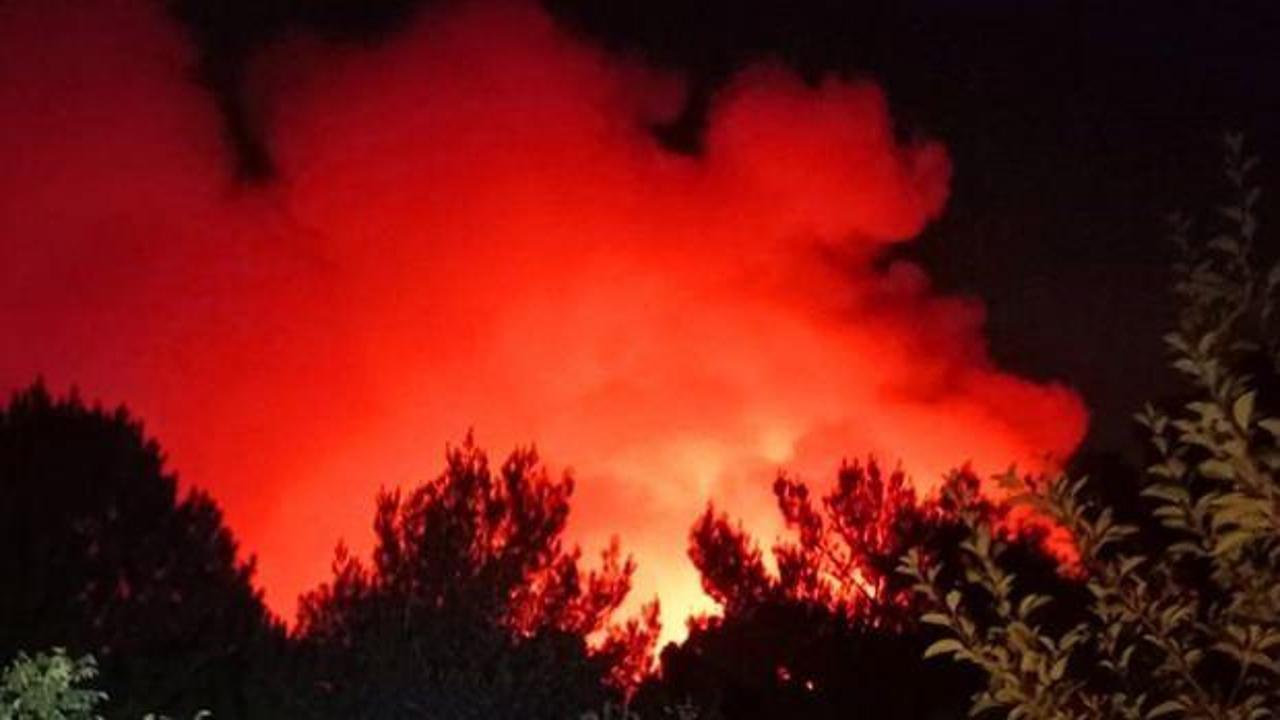 İzmir'deki orman yangını 22 saat sonra kontrol altına alındı