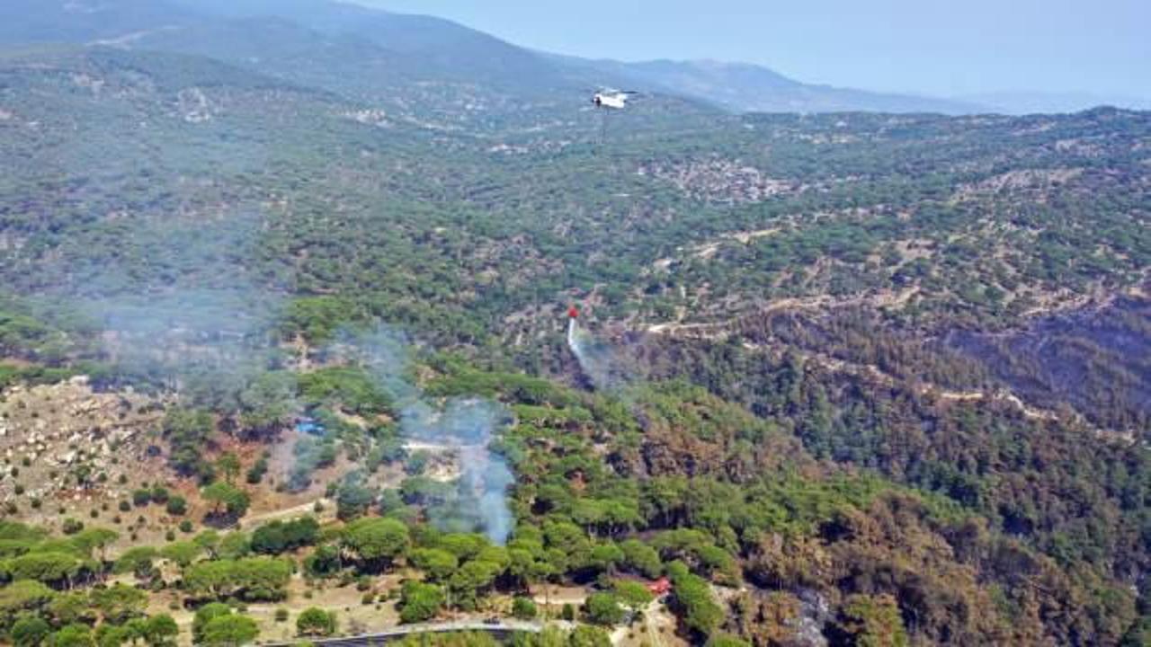 Orman yangınlarıyla mücadele: MSB 15 uçağıyla bölgede!
