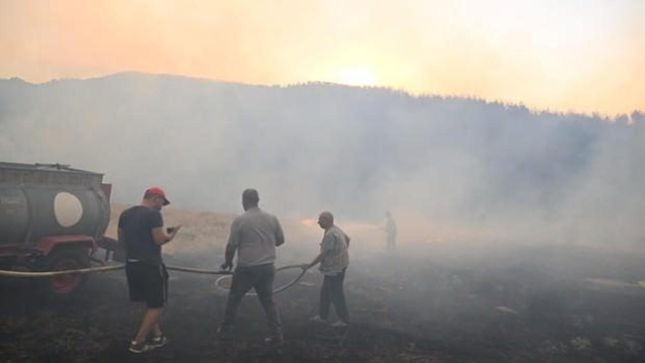 Uşak'ta orman yangını 2'nci gününde