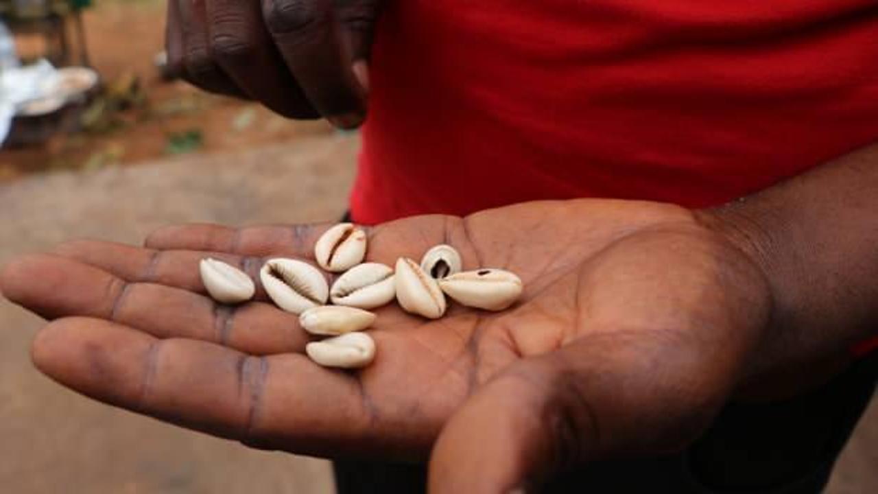Afrika'nın ödeme aracı: Cauri! '18. yüzyılda bir köle 100 bin deniz kabuğuna satılıyordu'
