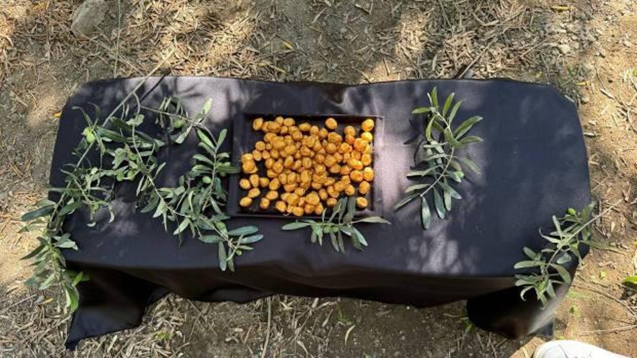 Altın kaplamalı zeytin yok satıyor