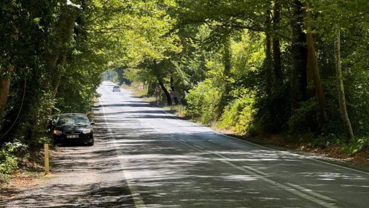 Bakanlık tarafından korunan Bartın'ın b&uuml;y&uuml;leyici ağa&ccedil; t&uuml;neli 