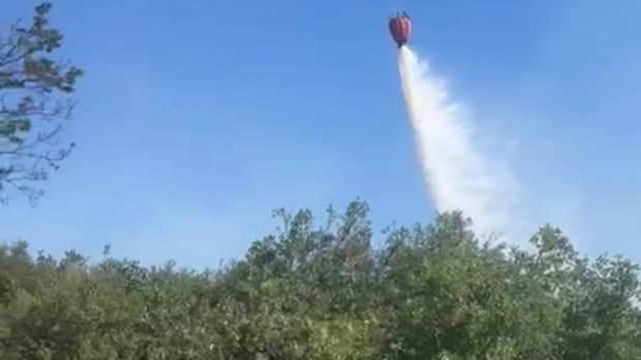 Bergama'daki orman yangını kontrol altına alındı