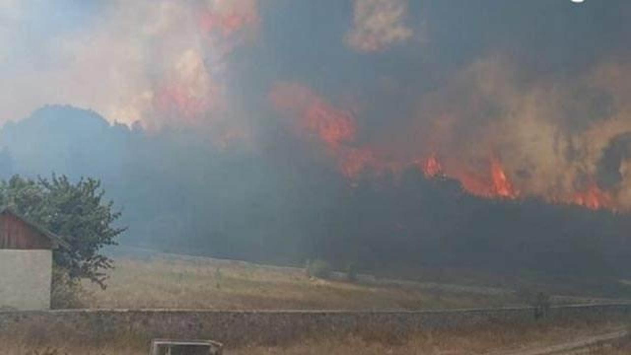 Bolu'da orman yangını! Çok sayıda ekip sevk edildi
