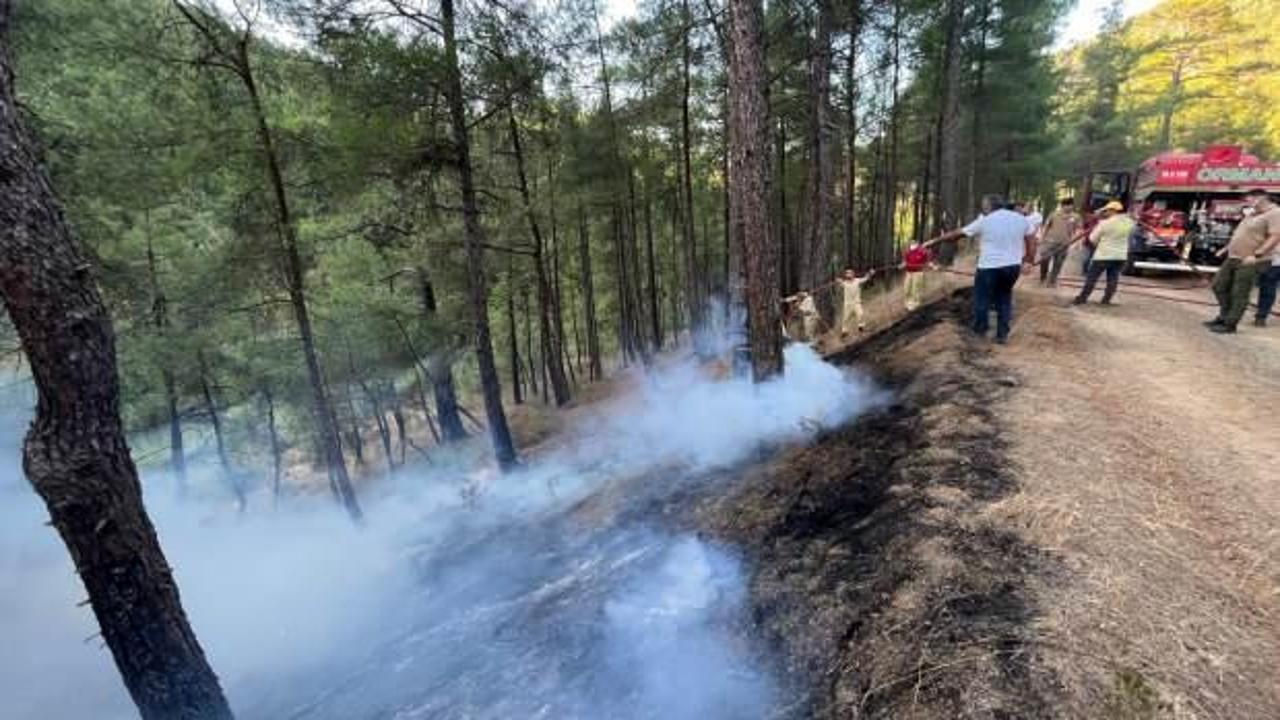 Bursa'daki orman yangını kontrol altında