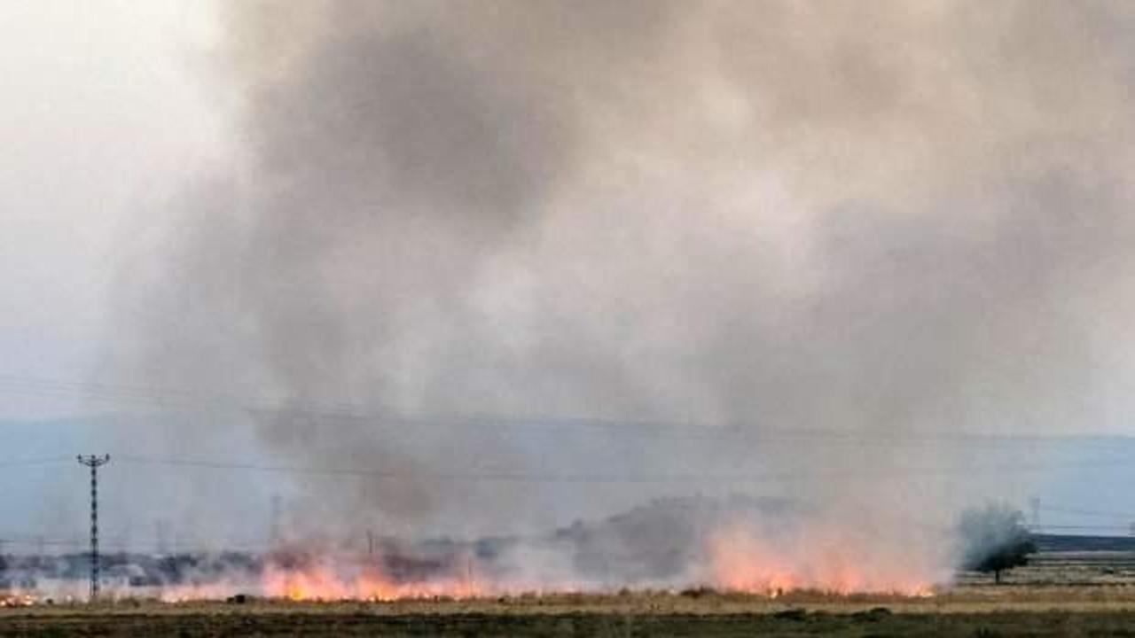 Diyarbakır'da anız yangını: Korkulan olmadı