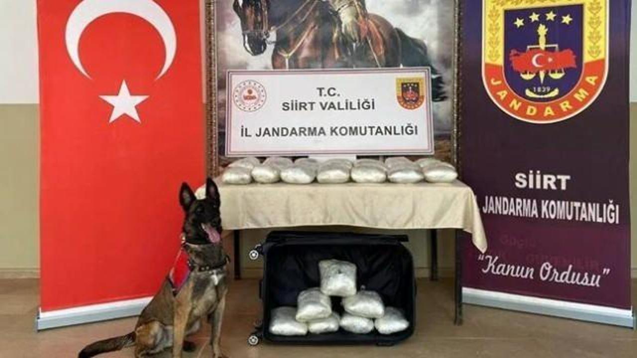 Emanet bavuldan &ccedil;ıkanlar şoke etti! 40 kilo...