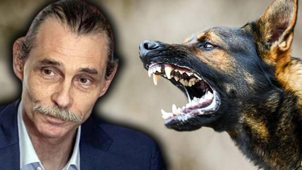 Etimesgut Belediyesi, çocuğu ısıran köpeği yine sokağa bırakacak