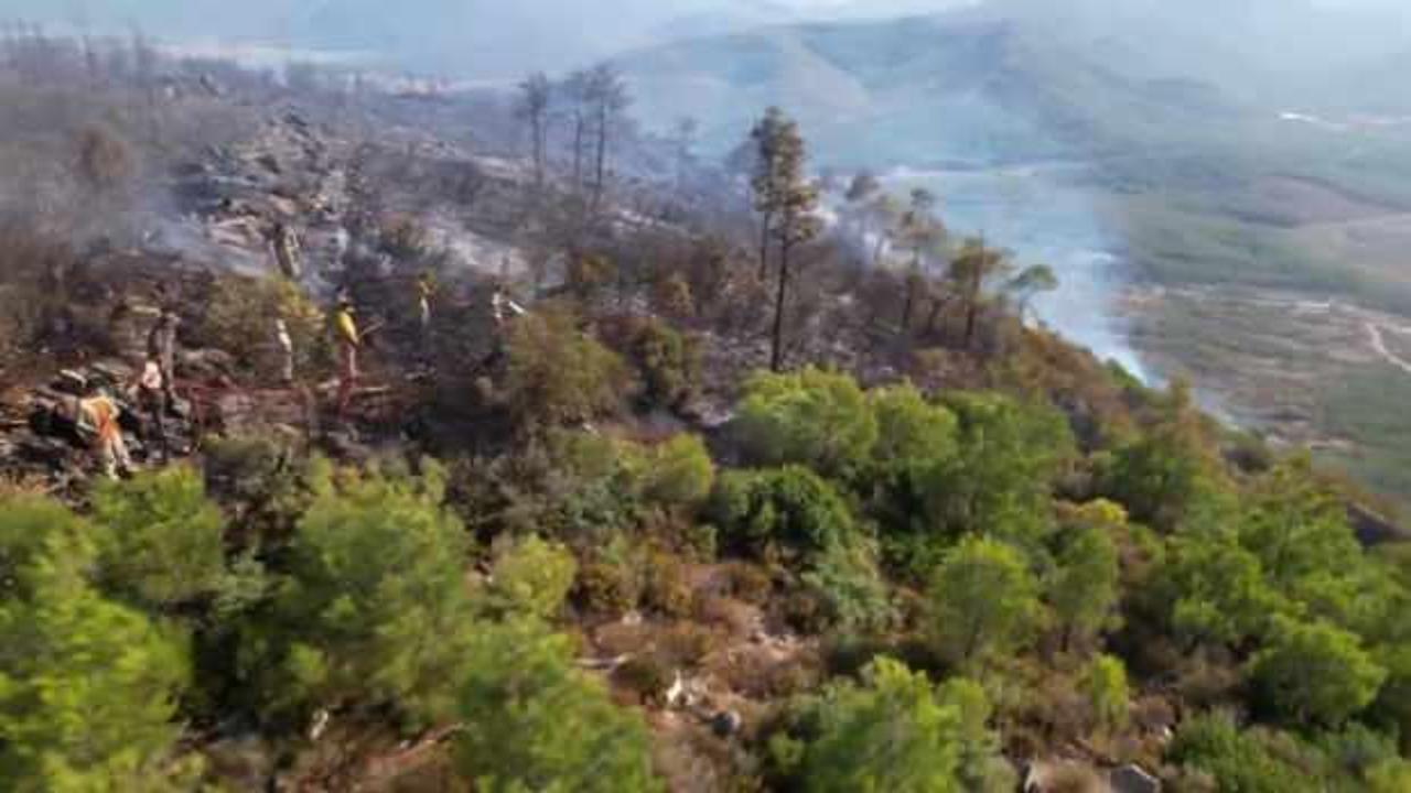 İzmir Menderes'teki orman yangını ile ilgili yeni gelişme!