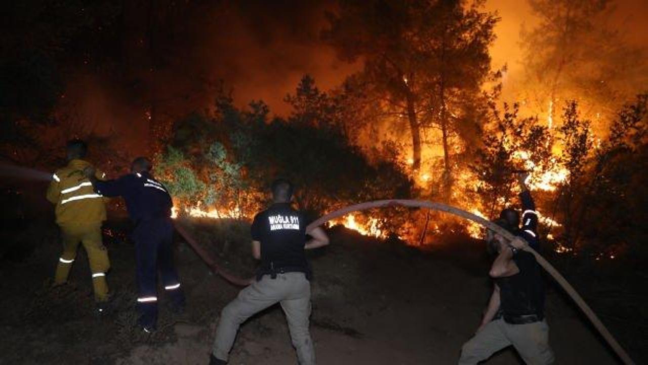 İzmir ve Muğla'daki orman yangınlarında yeni tutuklama