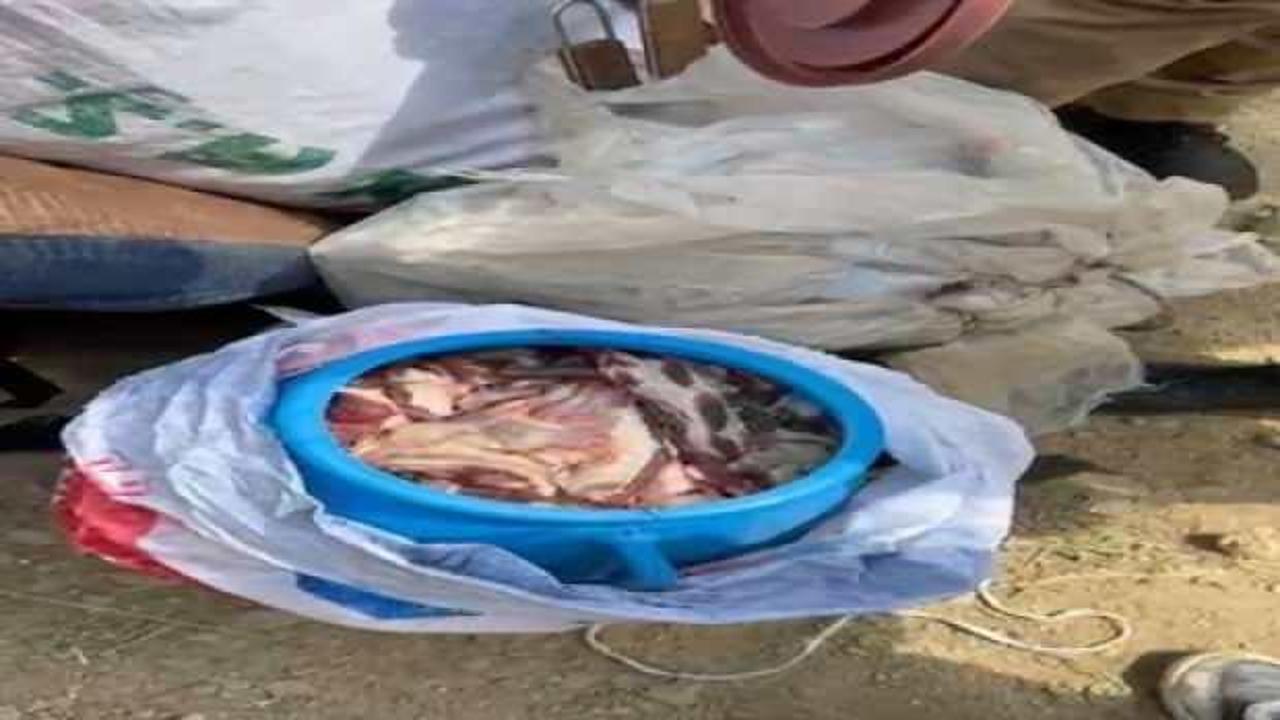 Koruma altındaki dağ ke&ccedil;isini avlayan 3 kişiye 699 bin TL para cezası verildi!