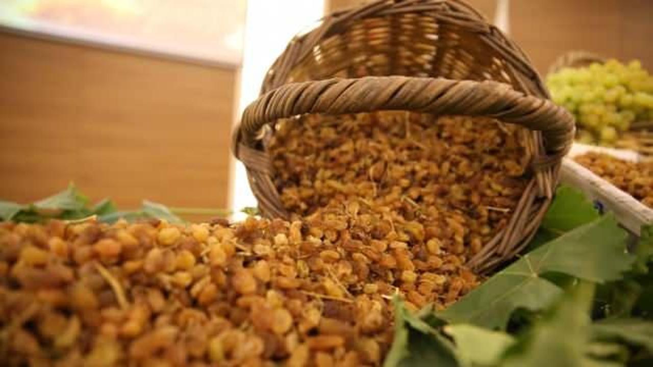 Manisa'da sezonun ilk çekirdeksiz kuru üzüm alımı törenle başladı