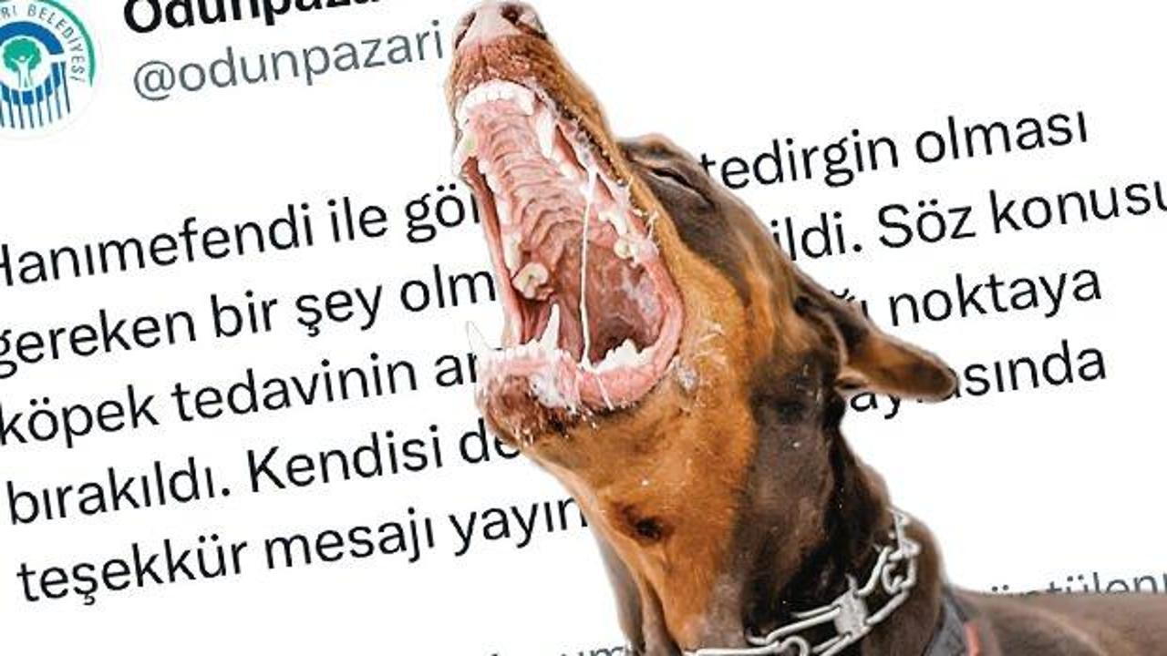 Şikayet edilen köpeği tekrar aynı yere bıraktılar! CHP'li belediye kanunu çiğnedi