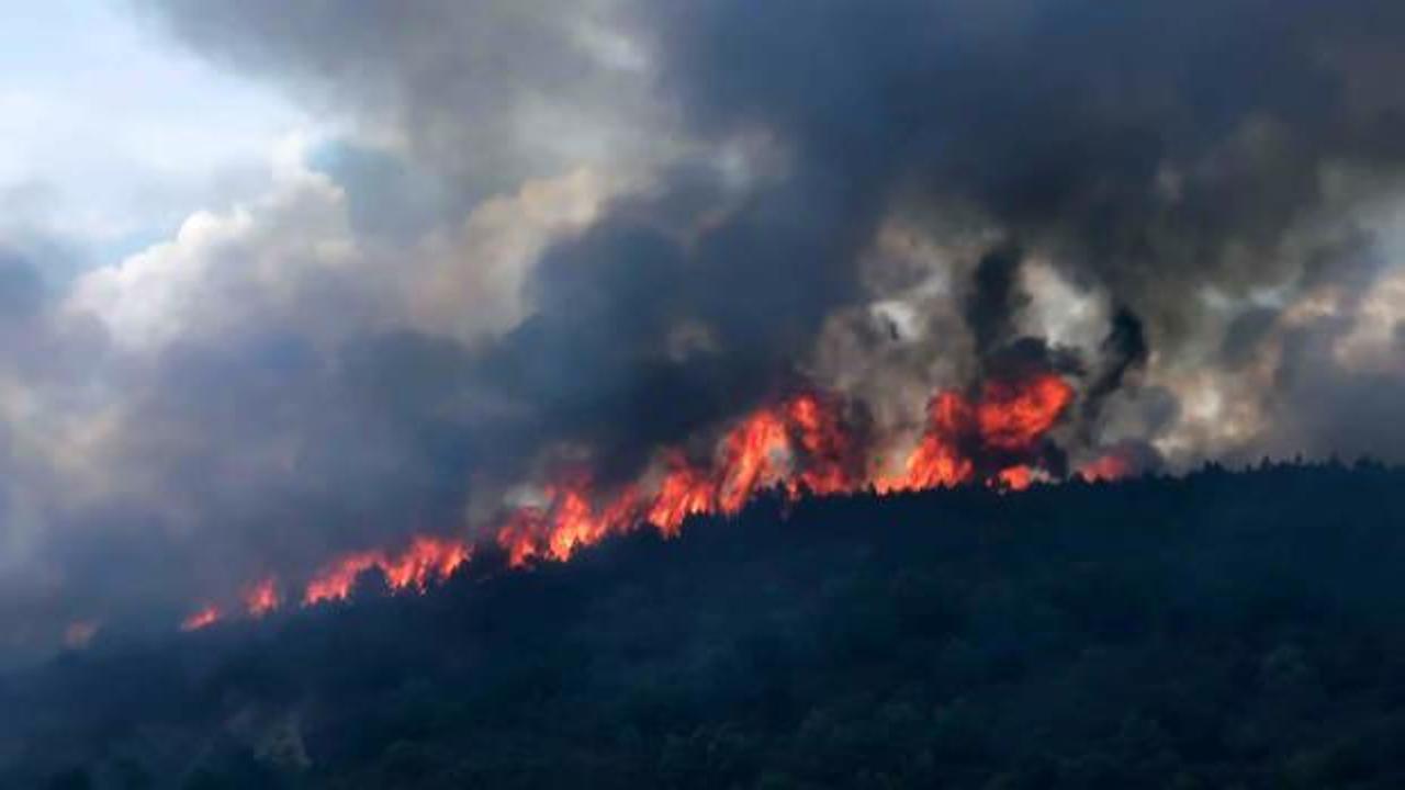 Orman yangınında 20 hektar zarar gördü: 2 gözaltı!